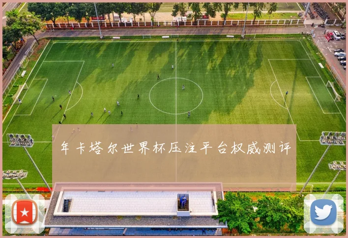 年卡塔尔世界杯压注平台权威测评