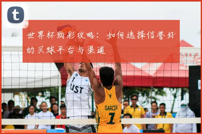 世界杯购彩攻略：如何选择信誉好的买球平台与渠道