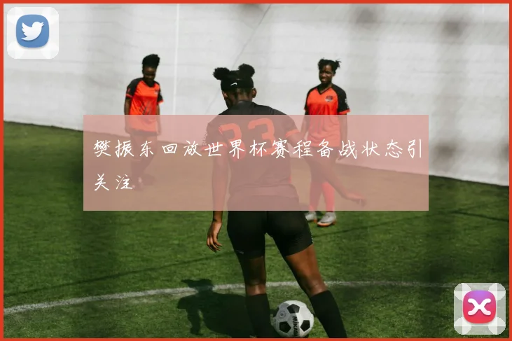 樊振东回放世界杯赛程备战状态引关注