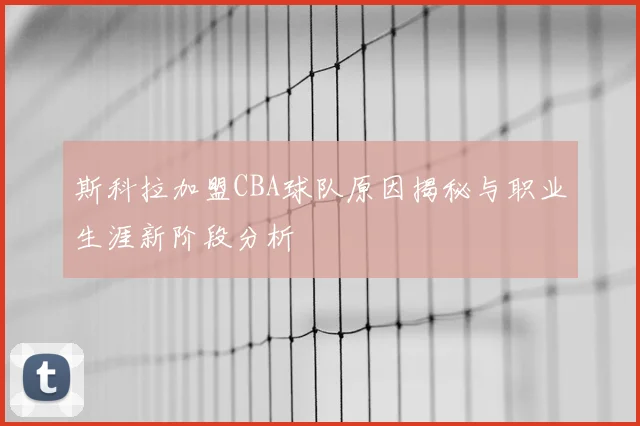 斯科拉加盟CBA球队原因揭秘与职业生涯新阶段分析