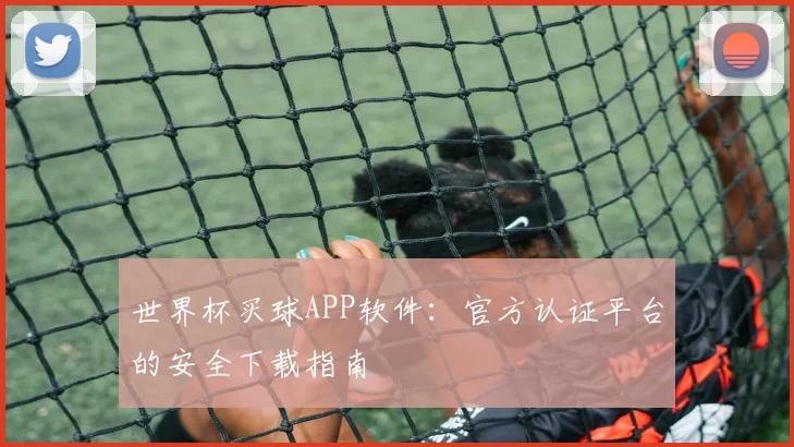 世界杯买球APP软件：官方认证平台的安全下载指南