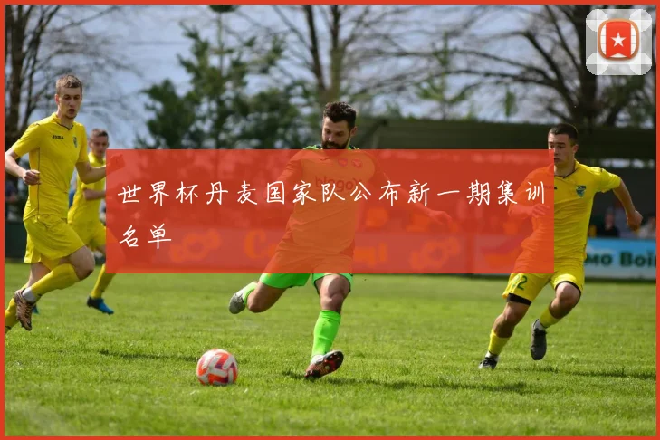 世界杯丹麦国家队公布新一期集训名单