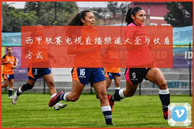 西甲联赛电视直播频道大全与收看方式