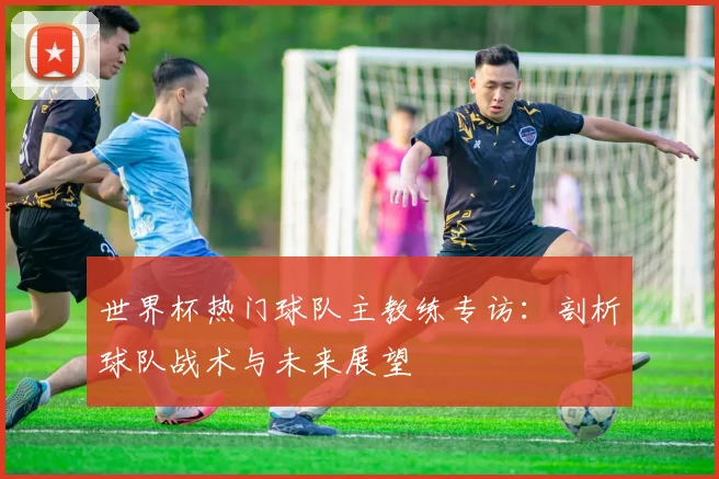 世界杯热门球队主教练专访：剖析球队战术与未来展望
