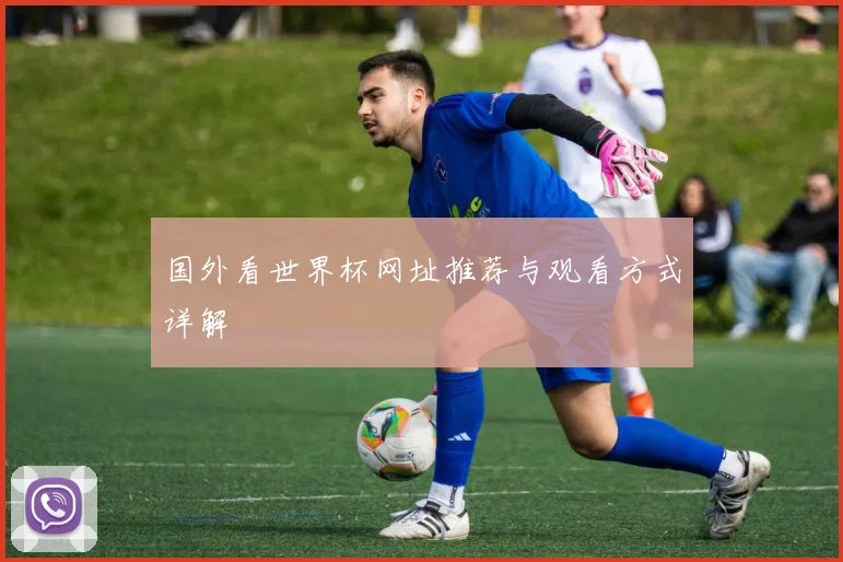 国外看世界杯网址推荐与观看方式详解