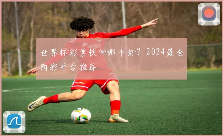 世界杯彩票软件哪个好？2024最全购彩平台推荐