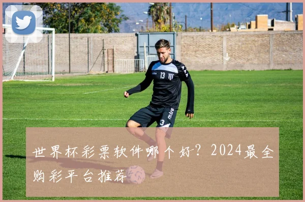 世界杯彩票软件哪个好？2024最全购彩平台推荐